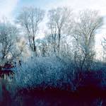 Image: First image from the photoset 'st. neots park (vii)'.