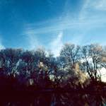 Image: Second image from the photoset 'st. neots park (vii)'.