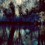 Image: Third image from the photoset 'st. neots park (vii)'.