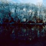 Image: Fifth image from the photoset 'st. neots park (vii)'.