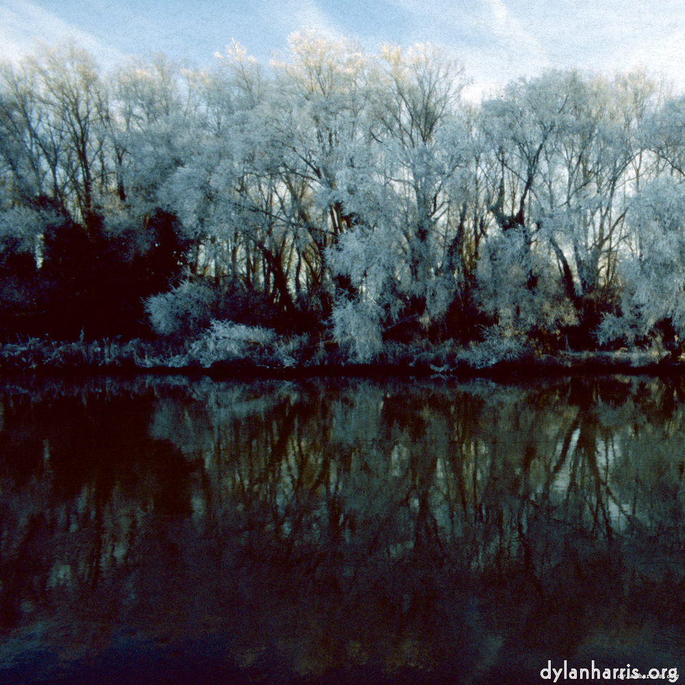 Image 'st. neots park (viii) 3'.