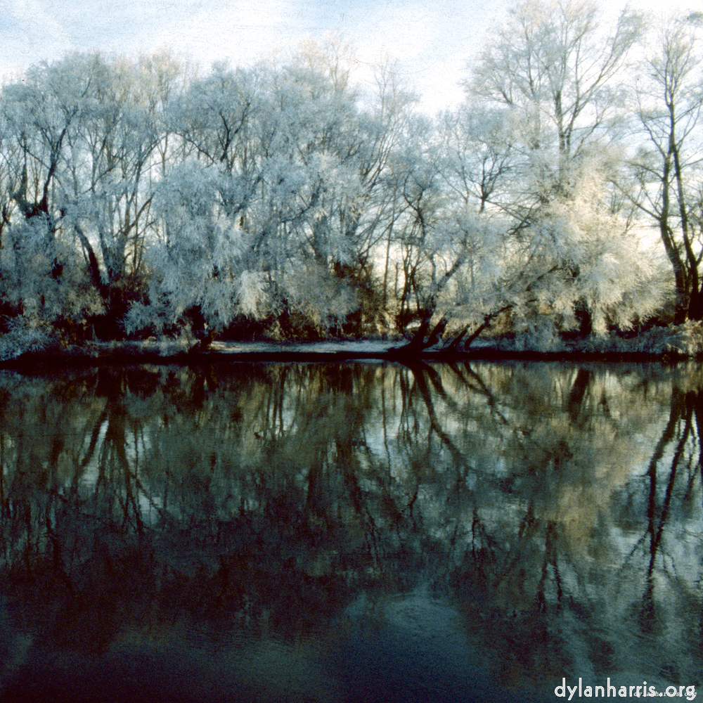 Image 'st. neots park (viii) 5'.