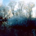 First image from the photoset 'st. neots park (viii)'.