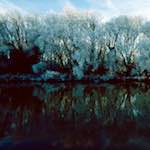 Third image from the photoset 'st. neots park (viii)'.