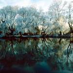 Fifth image from the photoset 'st. neots park (viii)'.