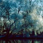 Image: First image from the photoset 'st. neots park (ix)'.