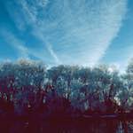 Image: Second image from the photoset 'st. neots park (ix)'.