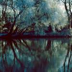 Image: st.neots park (ix) photoset