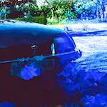 image: Image from the photoset ‘
damage (ii)
’.