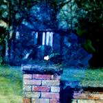 image: Image from the photoset ‘
damage (ii)
’.