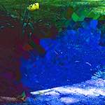 image: Image from the photoset ‘
damage (iii)
’.