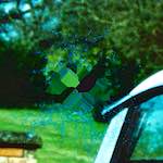 image: Image from the photoset ‘
damage (iii)
’.