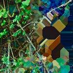 image: Image from the photoset ‘
damage (iv)
’.