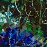 image: Image from the photoset ‘
damage (iv)
’.