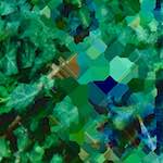 image: Image from the photoset ‘
damage (iv)
’.