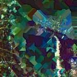 image: Image from the photoset ‘
damage (iv)
’.