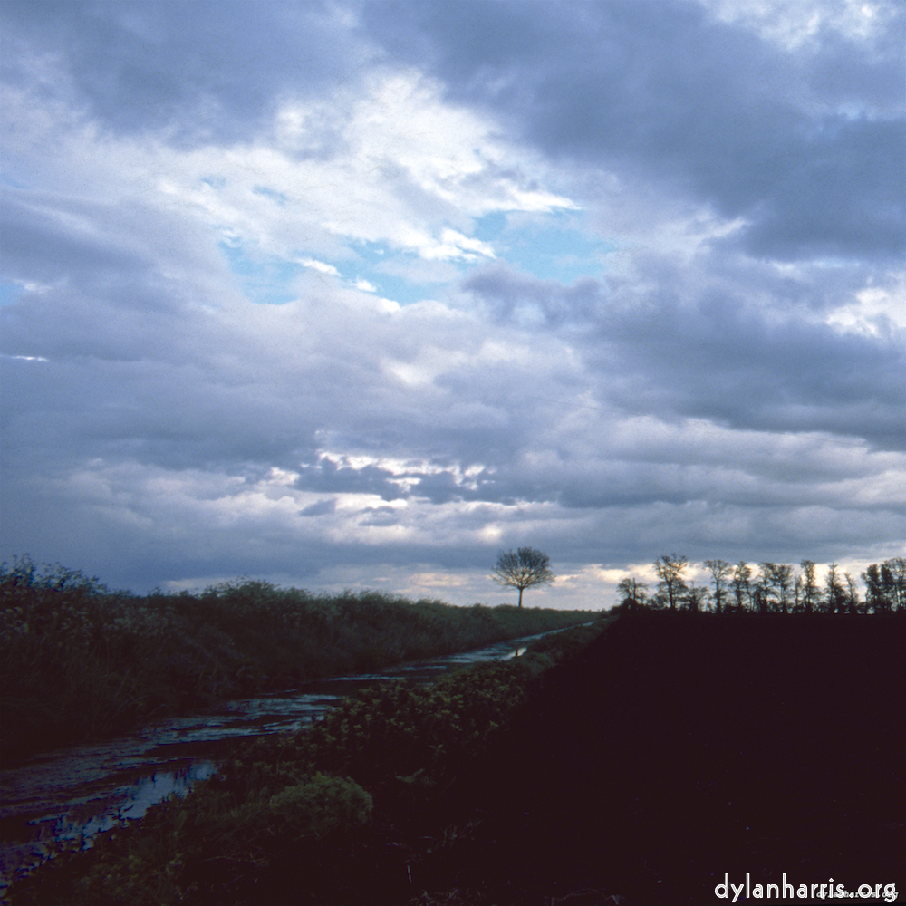 image: This is ‘
fen (vi) 5
’.