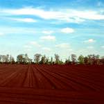 image: Image from the photoset ‘
fen (vi) 
’.