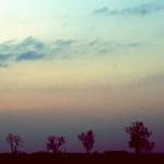 image: Image from the photoset ‘
fen (vi) 
’.