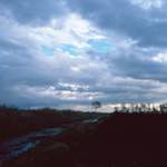 image: Image from the photoset ‘
fen (vi) 
’.