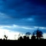 Image: First image from the photoset 'fen (vii)'.