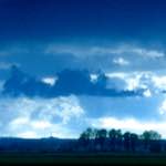 Image: Third image from the photoset 'fen (vii)'.