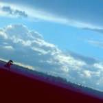 Image: Fourth image from the photoset 'fen (vii)'.