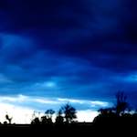 Image: Fifth image from the photoset 'fen (vii)'.