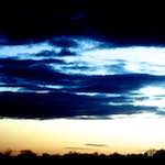 Image: Sixth image from the photoset 'fen (vii)'.