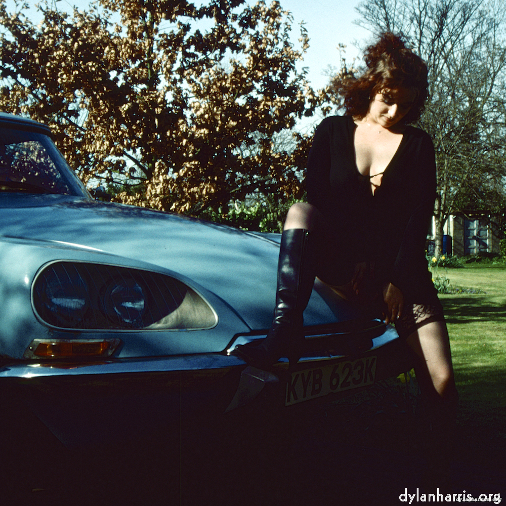 Image 'kerry (xxxvi) 4'.