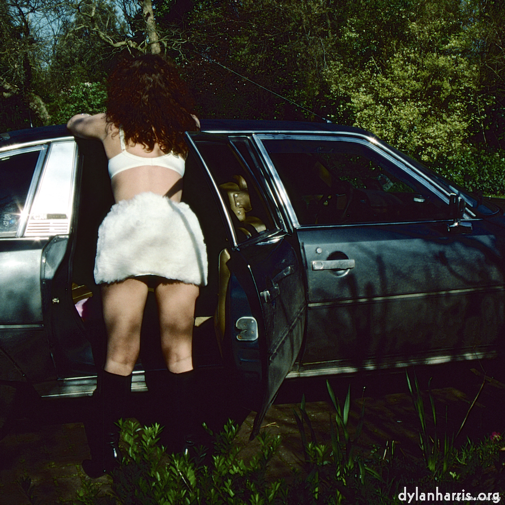 Image 'kerry (xxxviii) 1'.