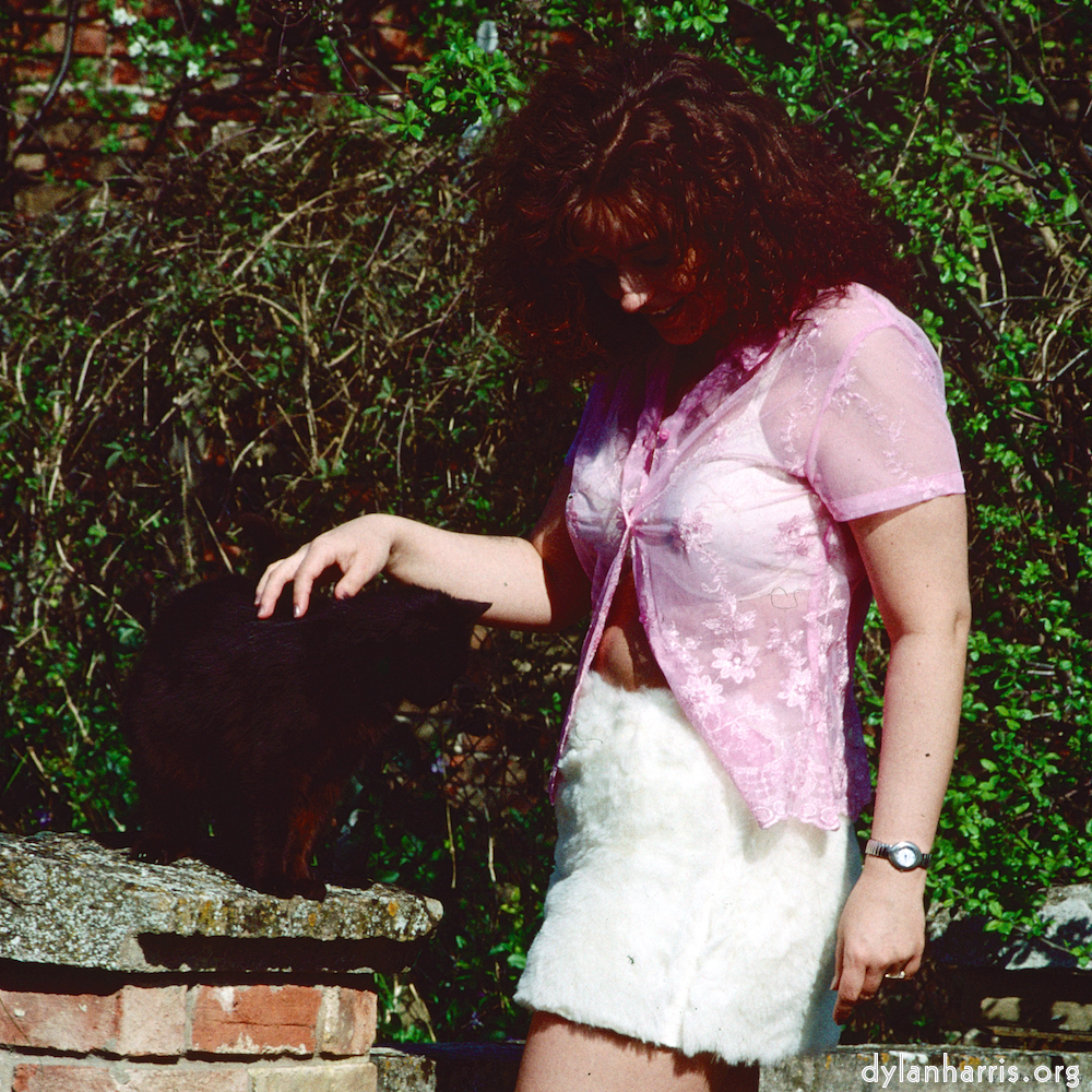 Image: Image 'kerry (xxxix) 5'.