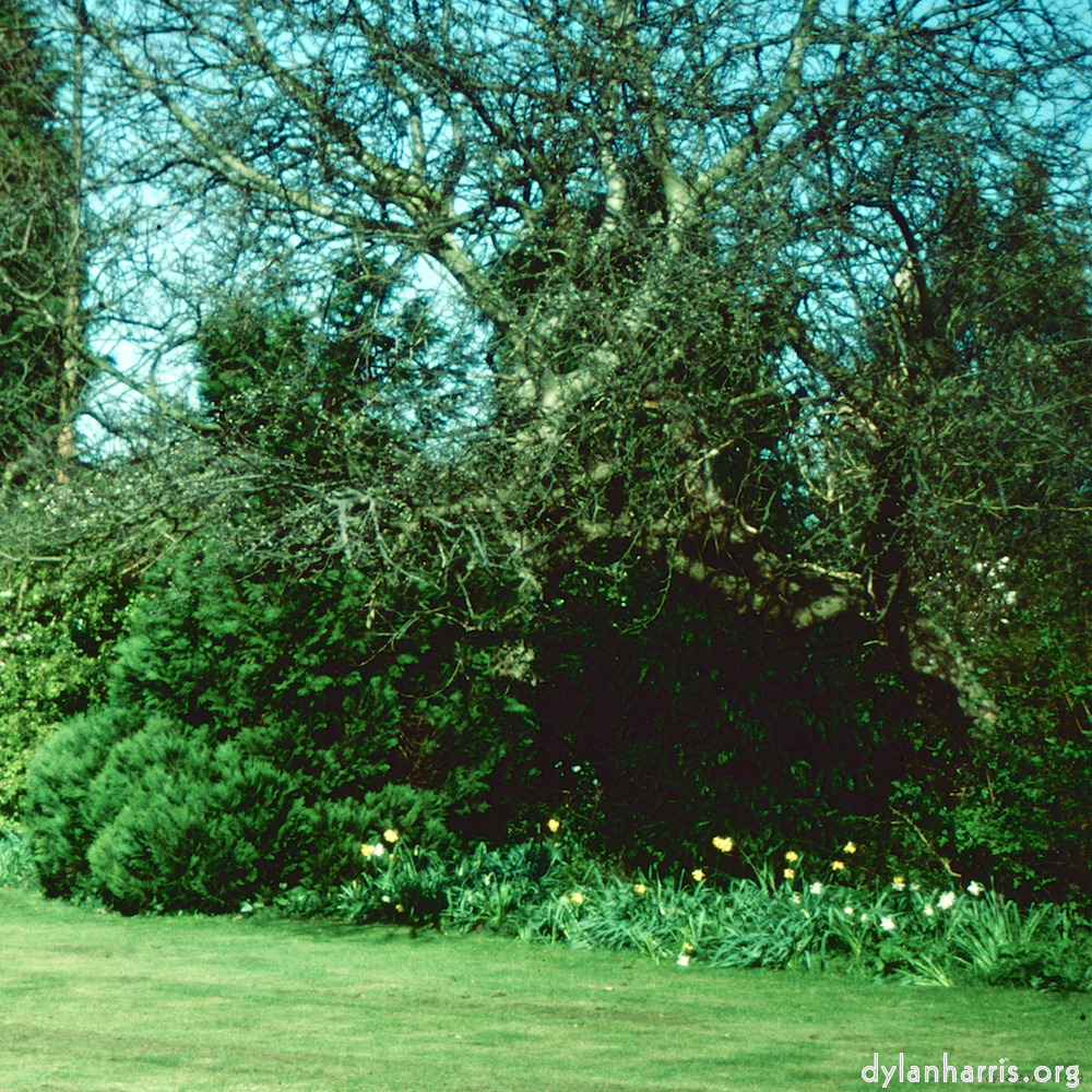 Image 'kerry (xxxix) 6'.