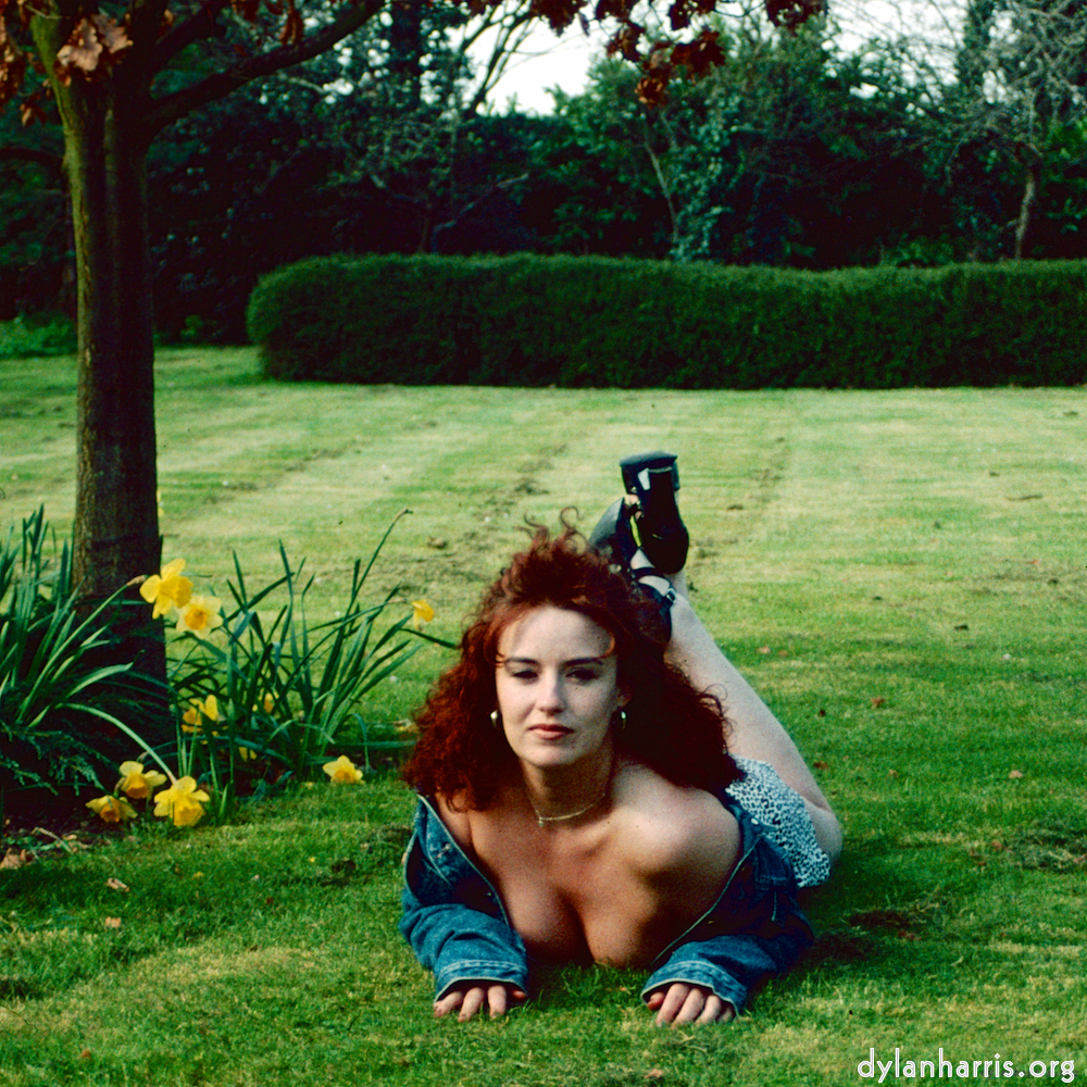 Image 'kerry (xxxix) 7'.