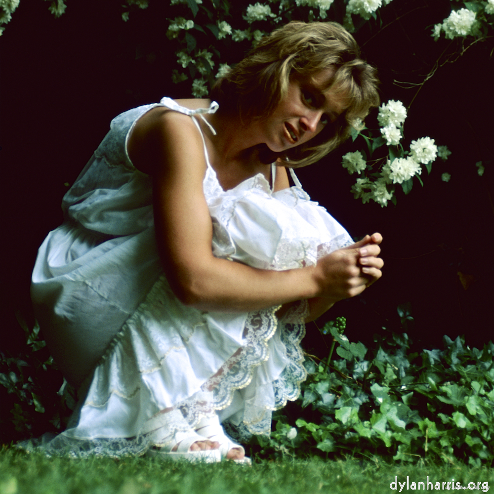 Image: Image 'lisa (l) 1'.