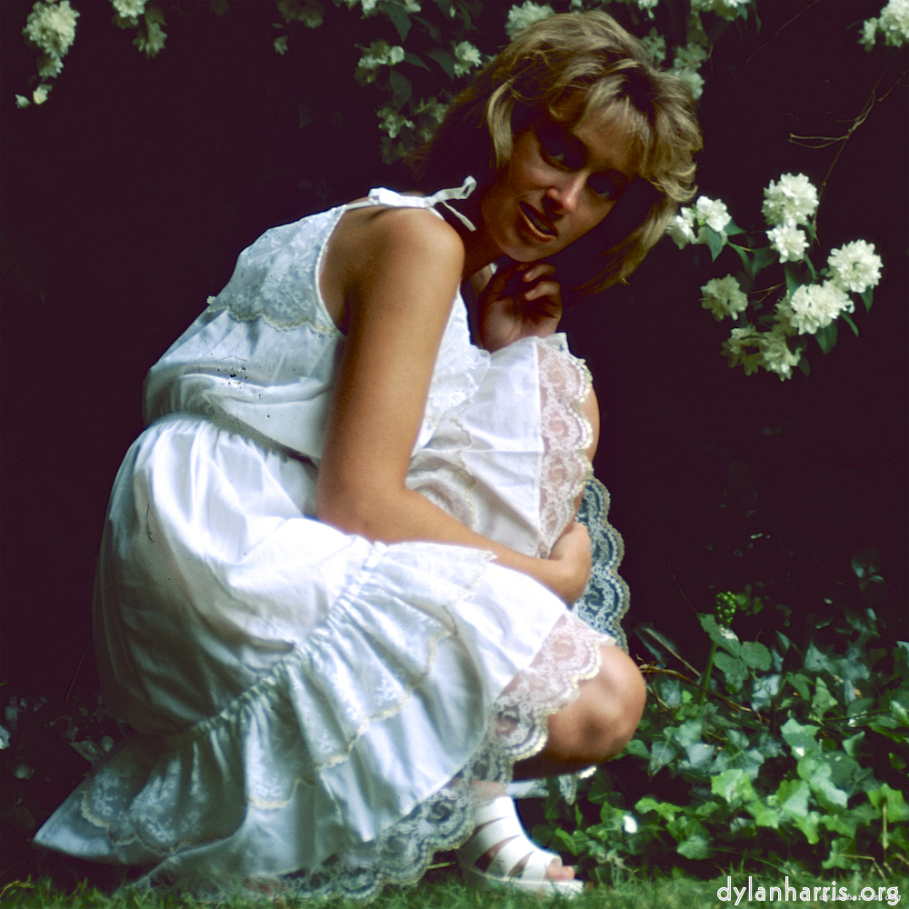 Image: Image 'lisa (l) 2'.