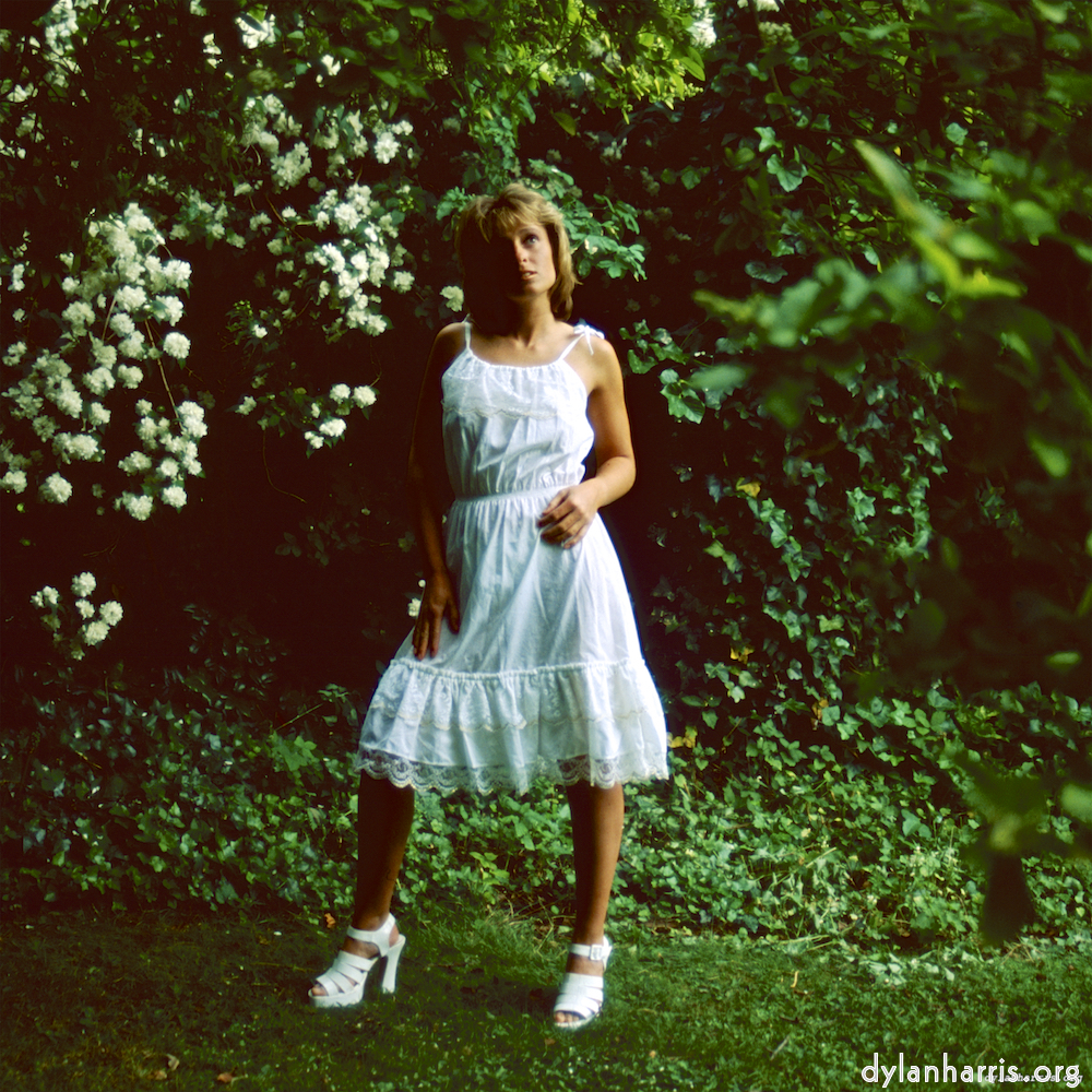 Image: Image 'lisa (l) 3'.