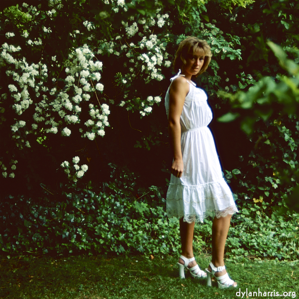 Image: Image 'lisa (l) 4'.