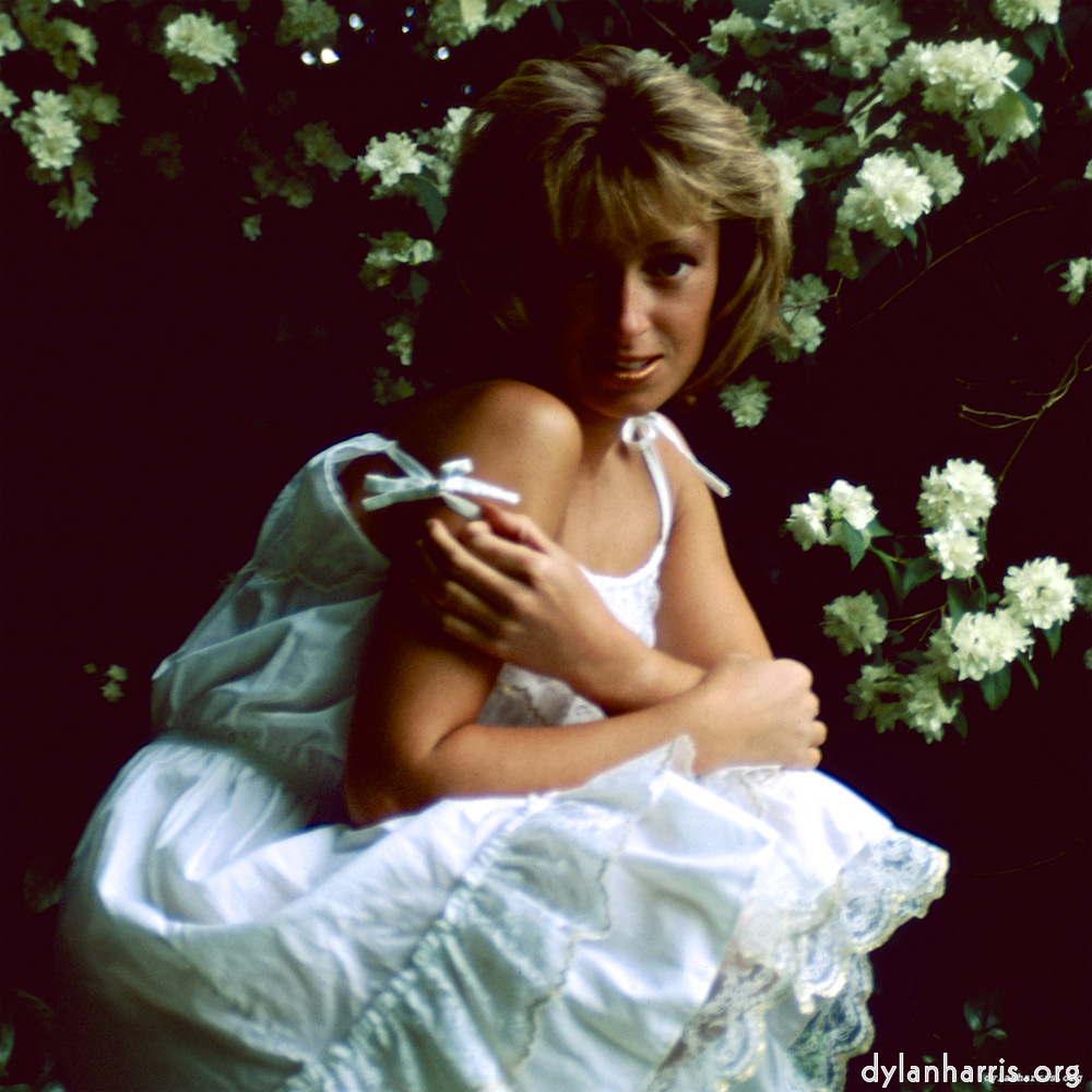 Image: Image 'lisa (l) 5'.