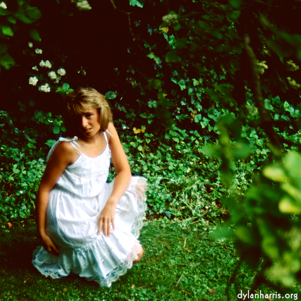 Image: Image 'lisa (li) 2'.