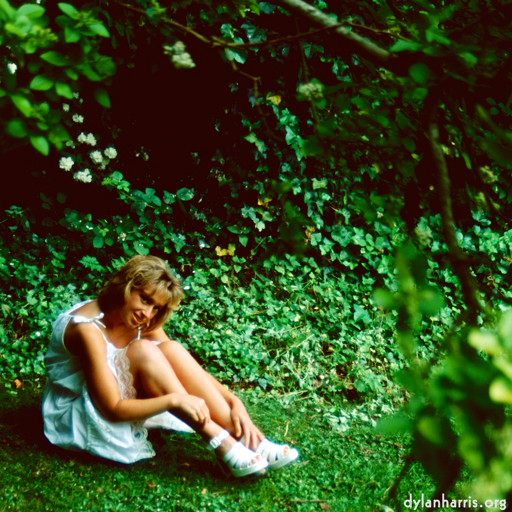 Image: Image 'lisa (li) 3'.