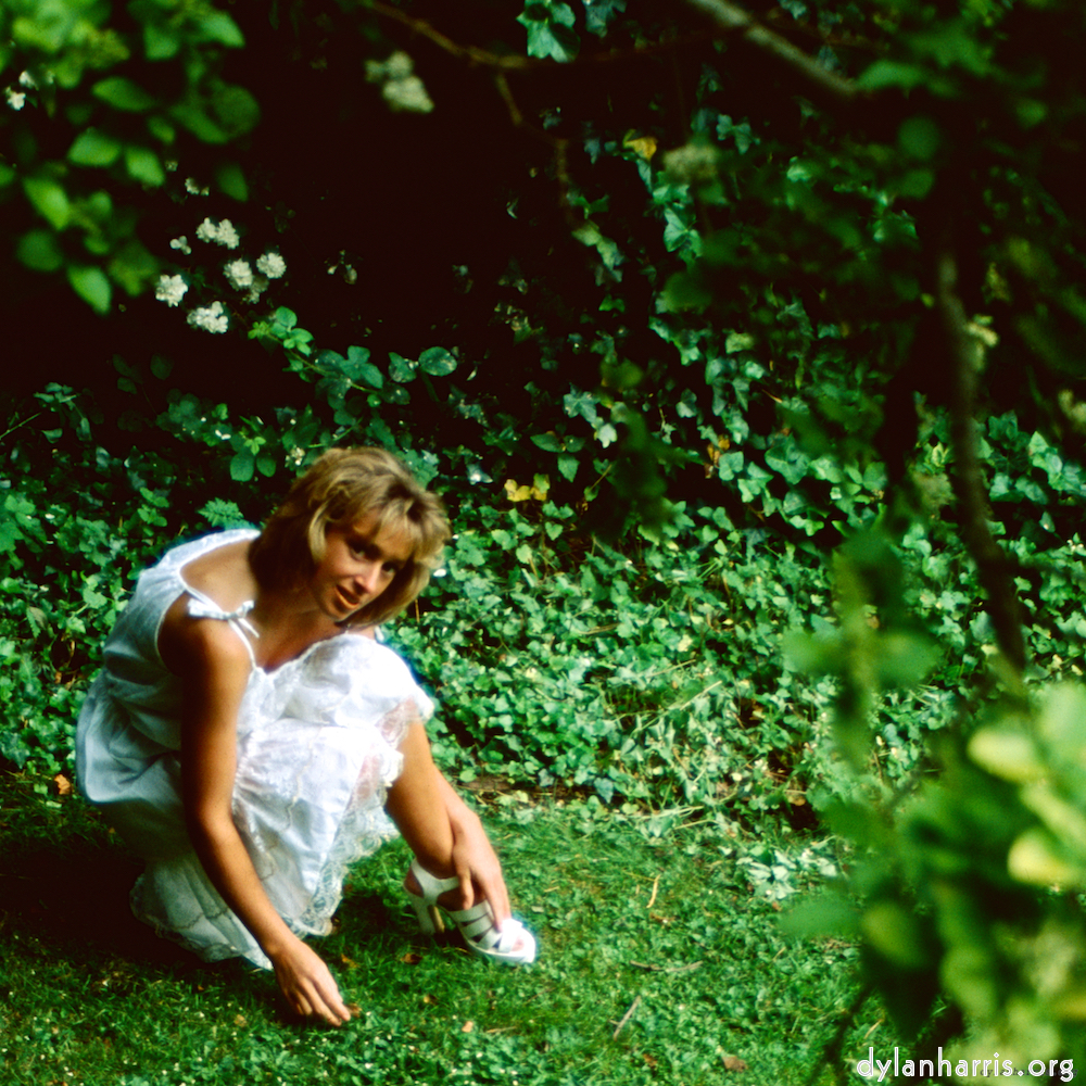 Image: Image 'lisa (li) 5'.