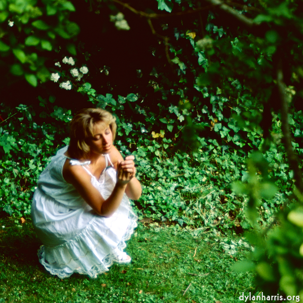 Image: Image 'lisa (li) 6'.