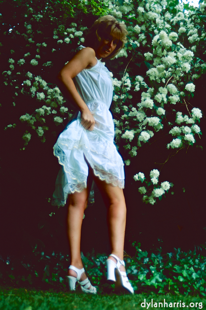 Image: Image 'lisa (lii) 1'.