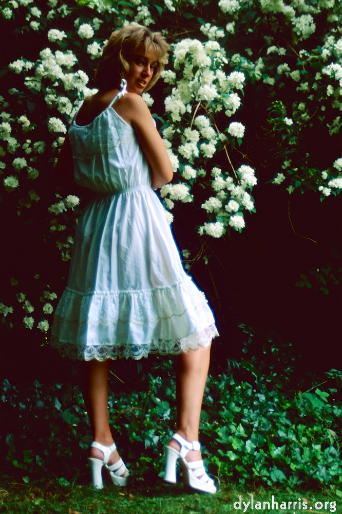 Image: Image 'lisa (lii) 2'.