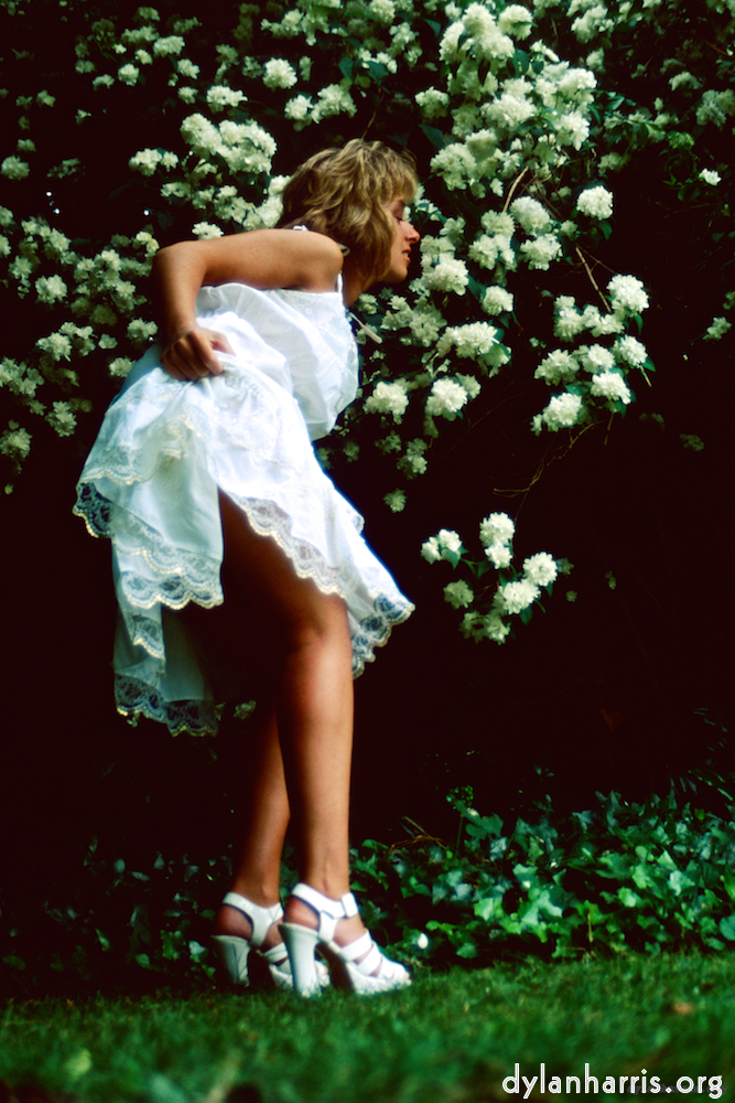 Image: Image 'lisa (lii) 4'.