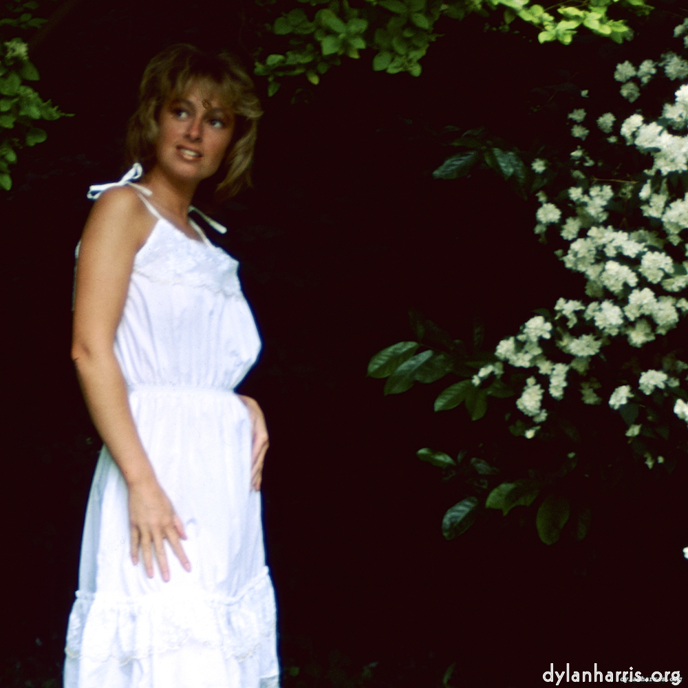 image: This is ‘
lisa (xxiii) 1
’.