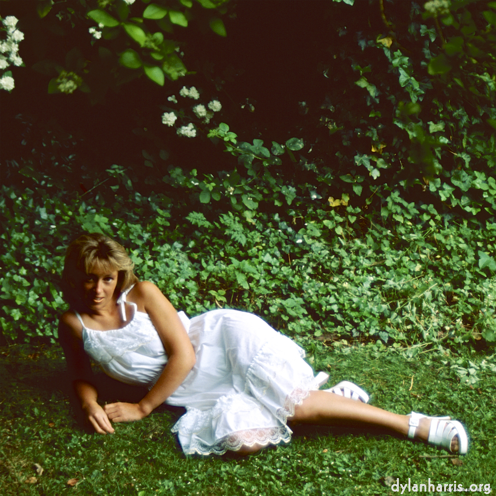 image: This is ‘
lisa (xxiii) 2
’.