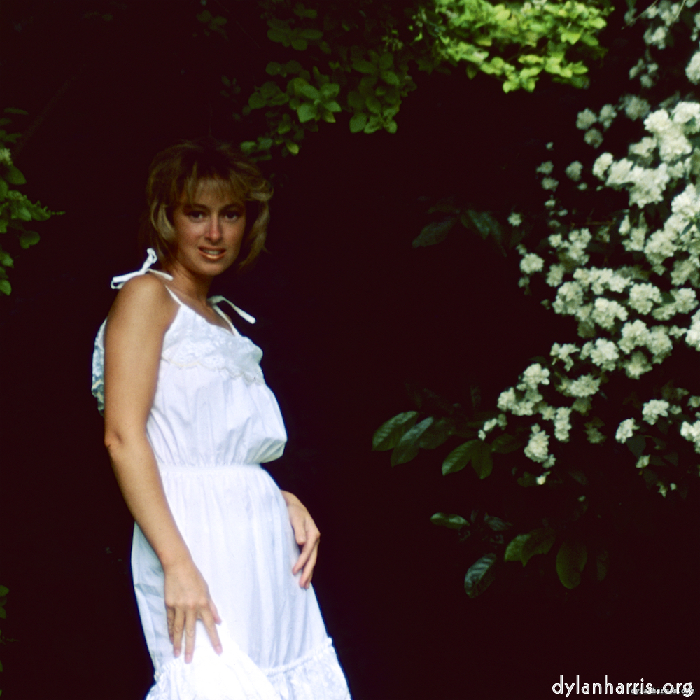 image: This is ‘
lisa (xxiii) 4
’.