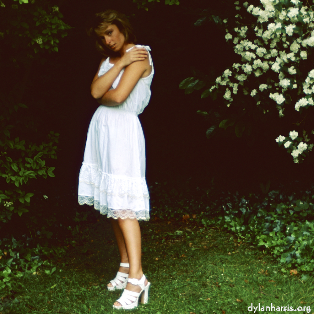 image: This is ‘
lisa (xxiii) 8
’.